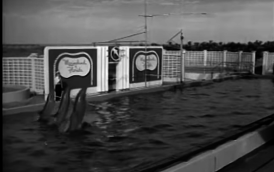 flagler fl, history of marineland