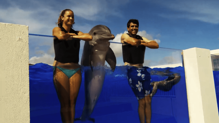 flagler fl, marineland ocean park