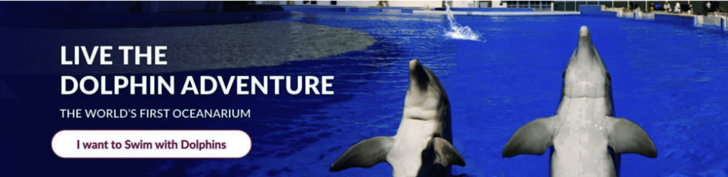 flagler fl, marineland swim with dolphins