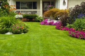 Lawn Care & Landscaping