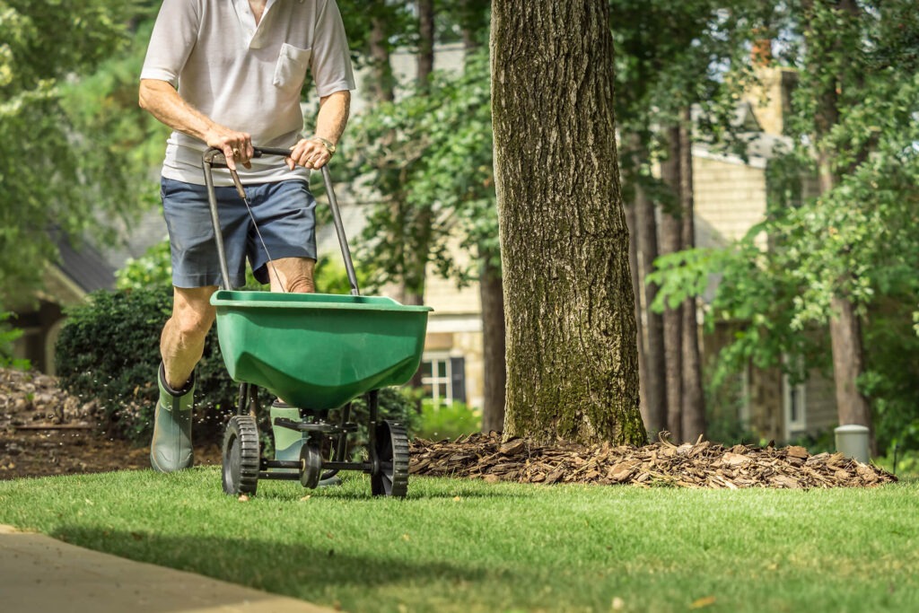 flagler fl, lawn care fertilizing
